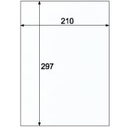 クラッポ小染 はな/白