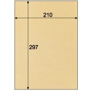 クラッポ小染 はな/こうぞ