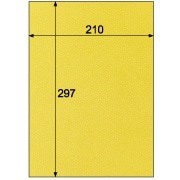 クラッポ小染 はな/きはだ