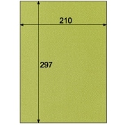 クラッポ小染 はな/草