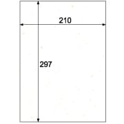 クラッポ和風/白雪