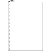 FSC(R)認証 マルチプリンタ帳票 A4 白紙 30穴