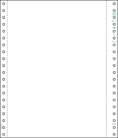 ストックフォーム B5タテ 白紙 2P