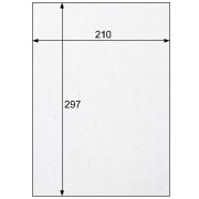 クラッポ和紙/多彩 きぬ