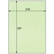 クラッポ和紙/多彩 うぐいす