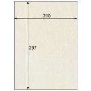 クラッポ和紙/雲竜 きなり