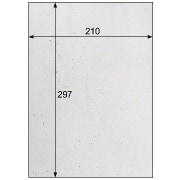 クラッポ和紙/奉書 金銀振り