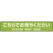 フロア誘導シール カーペット用 こちらでお待ちください 停止線 グリーン