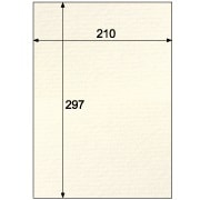 クラッポストライプ/ナチュラル