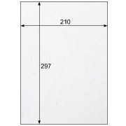 クラッポ和紙/多彩 きぬ