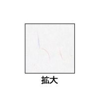 クラッポ和紙/多彩 きぬ