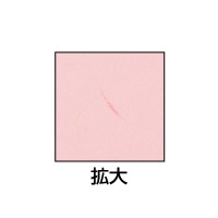 クラッポ和紙/多彩 うすもも