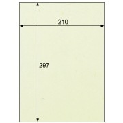 クラッポ和紙/多彩 とりのこ