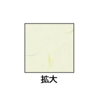 クラッポ和紙/多彩 とりのこ