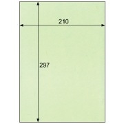 クラッポ和紙/多彩 うぐいす