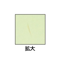 クラッポ和紙/多彩 うぐいす