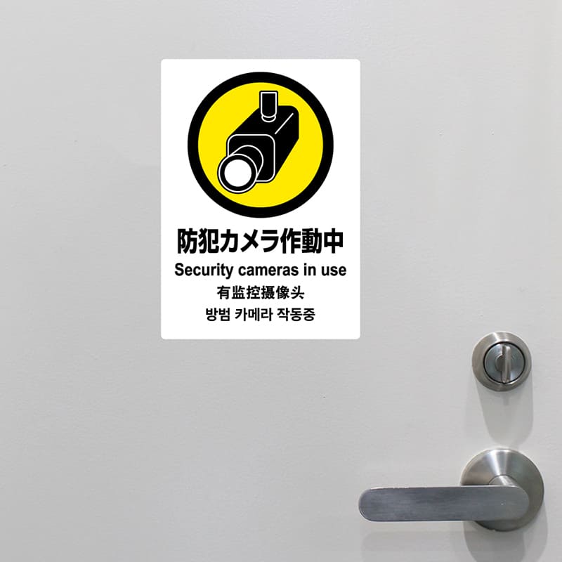 ピタロングステッカー 防犯カメラ A4 2面