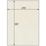 クラッポ和紙/雲竜 きなり