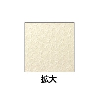 クラッポ小染 はな/絹