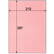 クラッポ小染 はな/うすべに