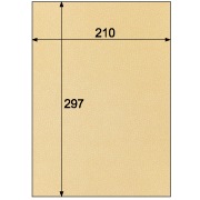 クラッポ小染 はな/こうぞ