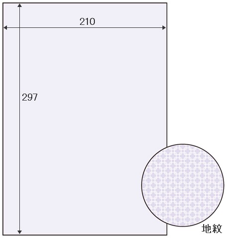 コピー偽造予防用紙 厚口 A4 全面 |ヒサゴオンラインショップ