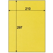 クラッポ小染 はな/きはだ