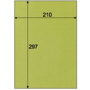 クラッポ小染 はな/草