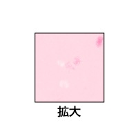 クラッポ和紙/すみれ 桃