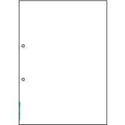 マルチプリンタ帳票 抗菌紙 A4 白紙 2穴