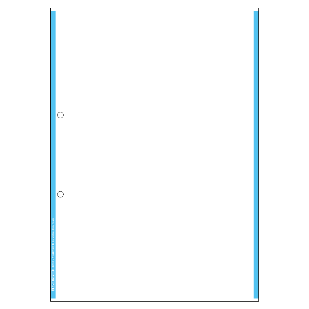 FSC(R)認証 マルチプリンタ帳票 複写タイプ A4 ノーカーボン ブルーライン 2穴