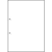 マルチプリンタ帳票 撥水（はっすい）紙 A4 白紙 2穴