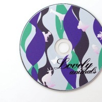 透けないDVD・CD-Rラベル（内円小）/マルチプリンタタイプ |ヒサゴ