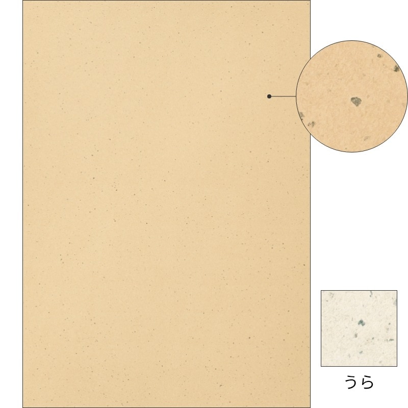 サステナブルクラッポ カカオ