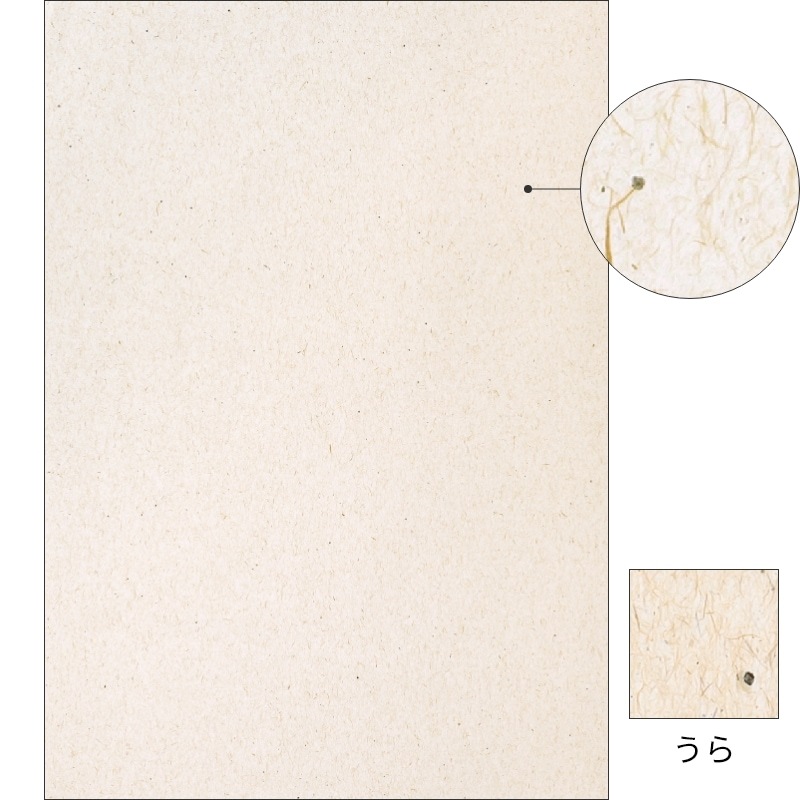 サステナブルクラッポ パームヤシ