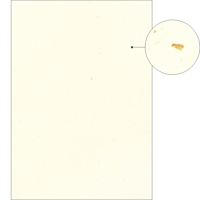 サステナブルクラッポ バナナ 5％ 厚口