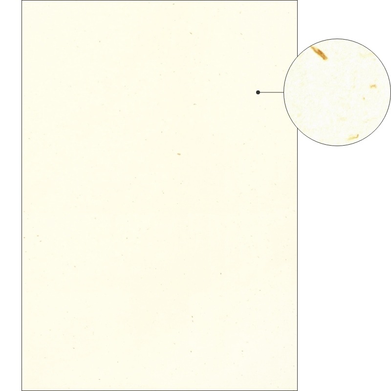 サステナブルクラッポ バナナ 5％ 薄口