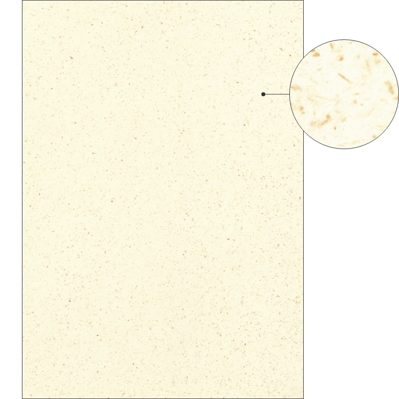 サステナブルクラッポ バナナ 20％