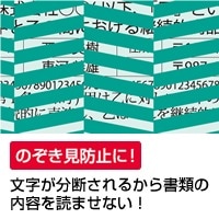 抗菌トリック！クリアフォルダ A4 グリーン