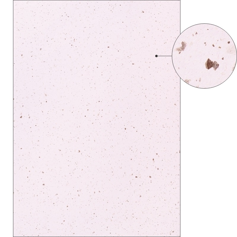 サステナブルクラッポ あずき 厚口