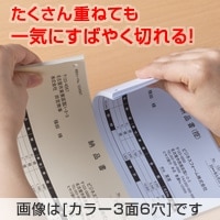 マルチプリンタ帳票 A4 地紋 2面