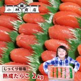 �ڥ������ء۶�̳�Ѥ��餳2kg�Ǿ����<18>��