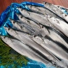 �ڴ��ָ���� ��������������極������2kg����¢�ء�