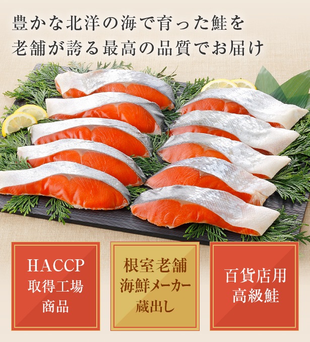 ڥء۴űȺ10ڥå1ڤ迿<>