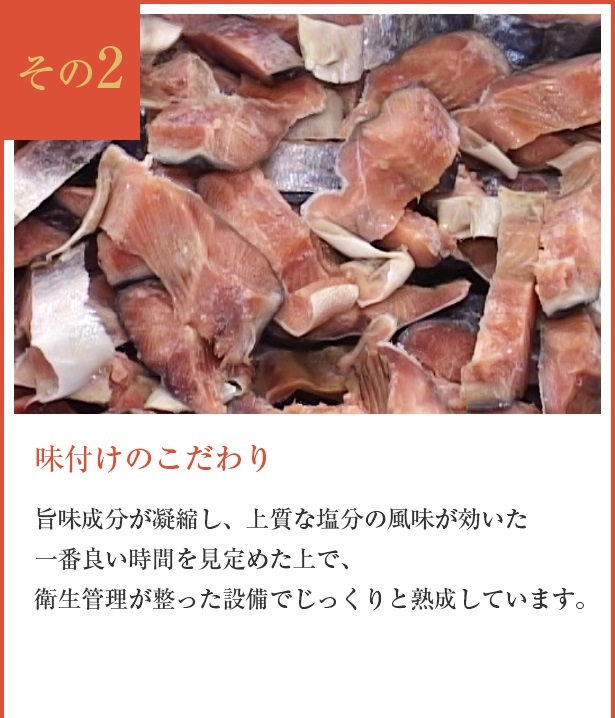 ڥء۴űȺ10ڥå1ڤ迿<>