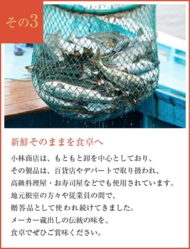 ڥء۴űȺ10ڥå1ڤ迿<>