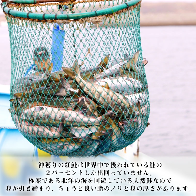 ڥء۴űȺ10ڥå1ڤ迿<>