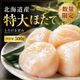 �ڥ������ءۿ��̸��� ���祵�����ۤ��Ƴ���500g<������>