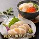 �ڥ������ءۿ��̸��� ���祵�����ۤ��Ƴ���500g<������>