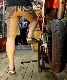 KOJIMA GENES�����祸���󥺡���󥭡������ ���硼�ȥѥ�ġ�RNB-1139 �ҥå��꡼